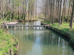 -溱湖国家湿地公园