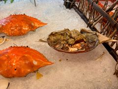 -东莞富力万达文华酒店·美食汇·海鲜自助餐厅
