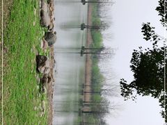 -合肥生态公园