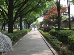 -新世界百货(明洞总店)