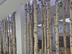 -极简口腔(总院)