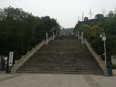 -铁山坪森林公园