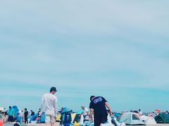 -碧海金沙
