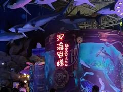 -烟台海昌鲸鲨海洋公园