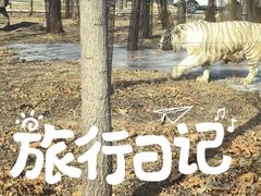 -秦皇岛野生动物园