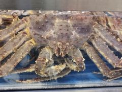 -盒马X会员店(上海森兰商都店)