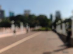 -九龙公园