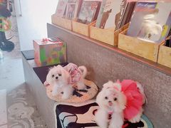 -nodcafe(M50创意园店)