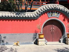 -天津市峰山药王古寺