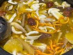 -菌之家·专业纯野生菌火锅·特色炒菌