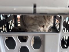 -瑞派福兴宠物医院犬猫全科·骨科·中西医结合(河东店)