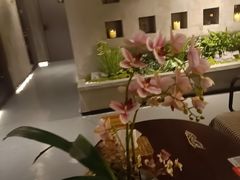 -施奈儿.洗头頭療.按摩SPA.采耳(上梅林店)