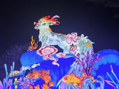 -厦门园林博览苑