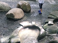 -成都市活水公园