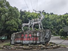 -长沙黑麋峰国家森林公园