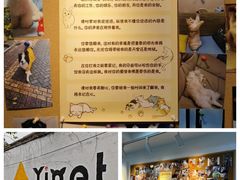 -翊宠yipet猫狗购宠庄园犬舍•猫舍