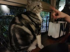 -咖法森林·咖啡  酒吧(天河店)