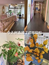 -名媛颜蕙·LPG官方旗舰店