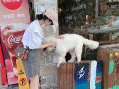 -炊烟·山房菜