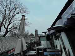 -Sirena海妖日咖夜酒