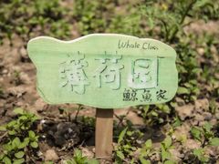 -培德书院幼儿园