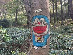 -南京老山国家森林公园