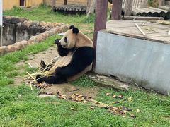 -杭州野生动物世界