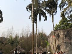 -重庆园博园