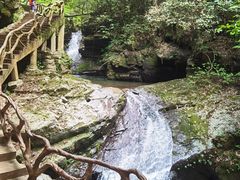 -江西阳明山国家森林公园