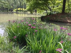 -洛阳市隋唐城遗址植物园