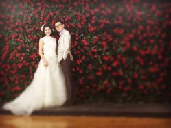 韩国艺匠ARTIZ&nbsp;STUDIO-THE QUEEN(北京店)