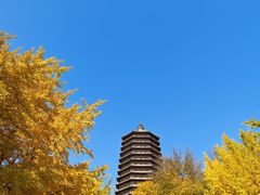 -玲珑塔公园