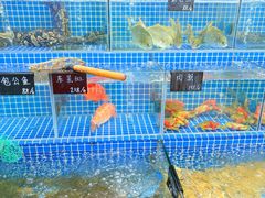 -双月饭店·20年老字号(新村店)