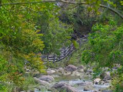 -广州白江湖森林公园