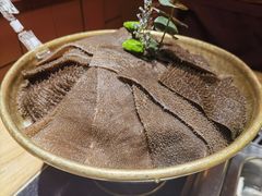-巴奴毛肚火锅(商城路店)