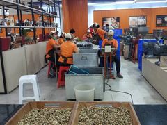 -巴厘岛黄金金兔咖啡工厂