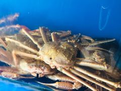 -綱元·海鲜豆捞(明州里店)