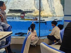 -帝企鹅自助餐厅•儿童岛•真企鹅(长隆企鹅酒店)