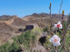 -蟠龙山长城景区