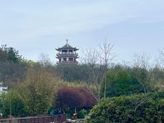 -南湾湖
