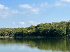 -盘龙城国家考古遗址公园