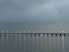 -宝安西湾红树林湿地公园