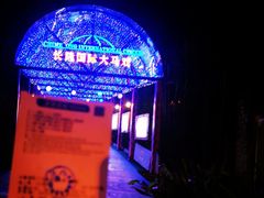 -广州长隆国际大马戏