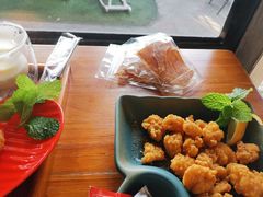 -柴犬高等学院·狗咖·柴犬售卖·宠物训练