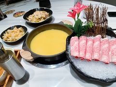 花胶浓汤鸡锅-新一哥粤菜火锅(瑞金店)