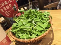 -老凯俚酸汤鱼(多彩城店)