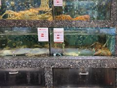-宝燕壹号(徐汇店)