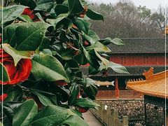 -法雨寺餐厅
