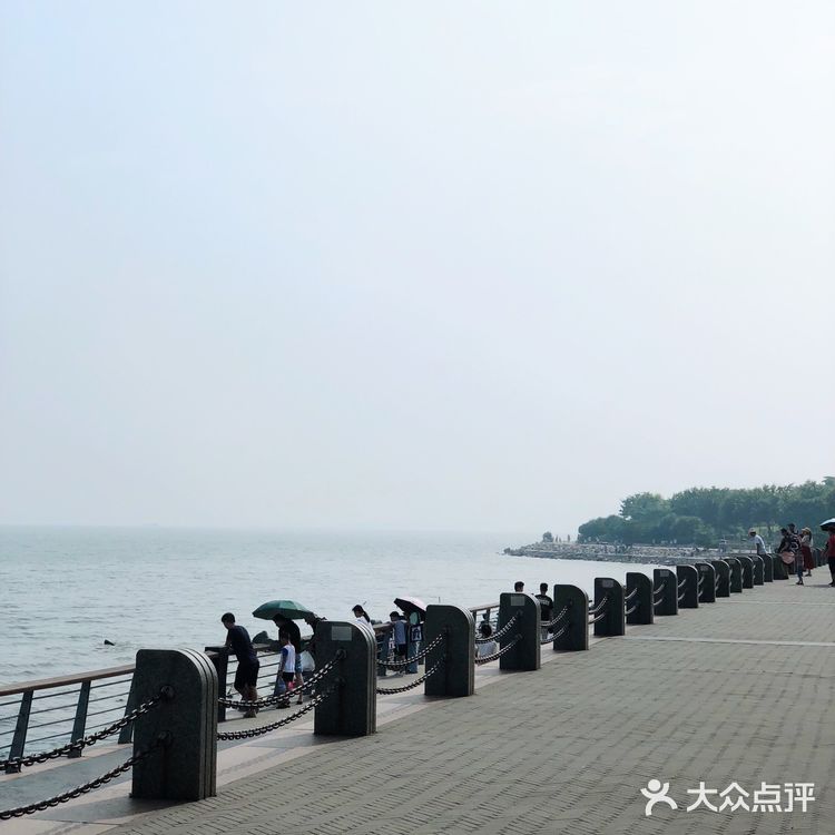 深圳旅游攻略 | 畅享惬意的红树林之旅🌴