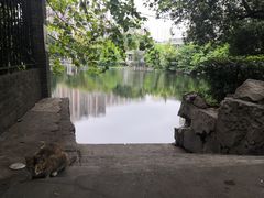 -荔湾湖公园